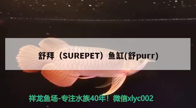 舒拜（SUREPET）魚(yú)缸(舒purr) 垂釣樂(lè)園