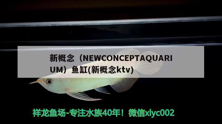 新概念（NEWCONCEPTAQUARIUM）魚缸(新概念ktv) 其他品牌魚缸