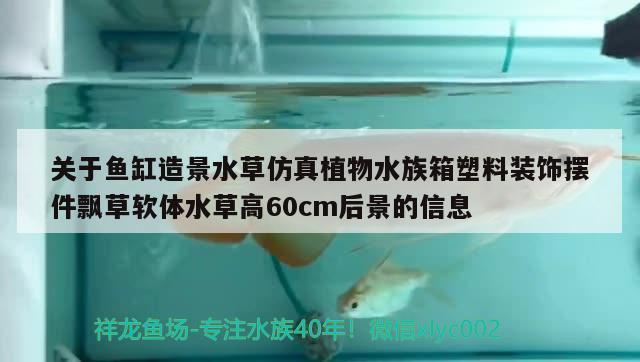 關(guān)于魚缸造景水草仿真植物水族箱塑料裝飾擺件飄草軟體水草高60cm后景的信息 魚缸/水族箱