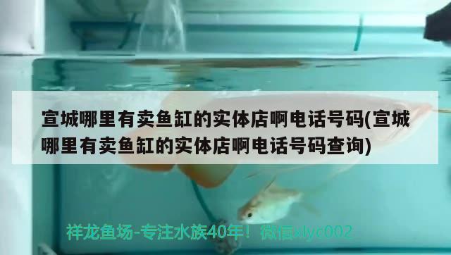 宣城哪里有賣魚缸的實體店啊電話號碼(宣城哪里有賣魚缸的實體店啊電話號碼查詢) PH調(diào)節(jié)劑