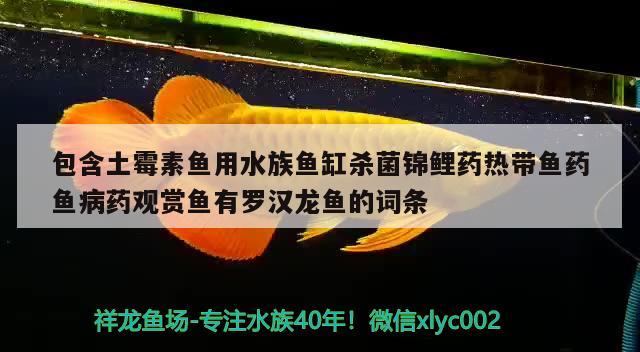 包含土霉素魚用水族魚缸殺菌錦鯉藥熱帶魚藥魚病藥觀賞魚有羅漢龍魚的詞條 三間鼠魚苗