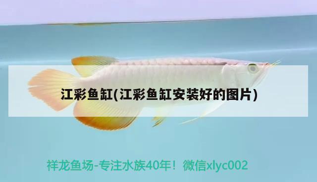 江彩魚缸(江彩魚缸安裝好的圖片) 其他品牌魚缸