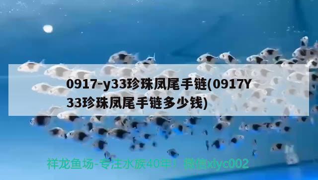 0917-y33珍珠鳳尾手鏈(0917Y33珍珠鳳尾手鏈多少錢) 觀賞魚