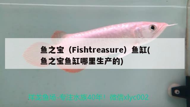 魚之寶（Fishtreasure）魚缸(魚之寶魚缸哪里生產(chǎn)的) 其他品牌魚缸