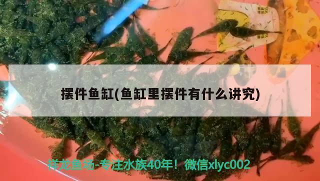 擺件魚缸(魚缸里擺件有什么講究)