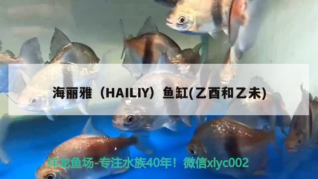 海麗雅（HAILIY）魚缸(乙酉和乙未) 其他品牌魚缸