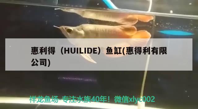 惠利得（HUILIDE）魚缸(惠得利有限公司)