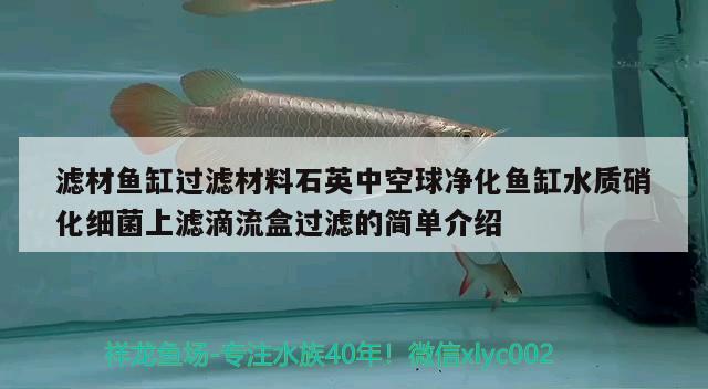 濾材魚缸過(guò)濾材料石英中空球凈化魚缸水質(zhì)硝化細(xì)菌上濾滴流盒過(guò)濾的簡(jiǎn)單介紹 硝化細(xì)菌