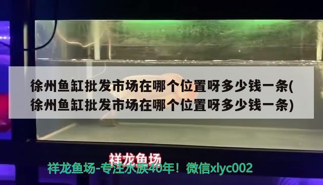 徐州魚缸批發(fā)市場在哪個位置呀多少錢一條(徐州魚缸批發(fā)市場在哪個位置呀多少錢一條)