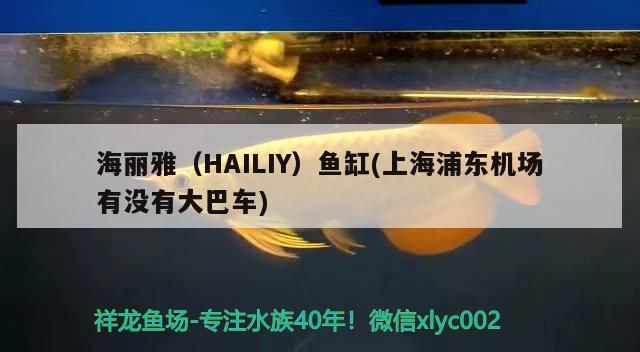 海麗雅（HAILIY）魚缸(上海浦東機(jī)場有沒有大巴車)