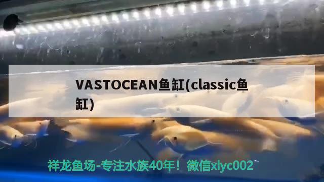 VASTOCEAN魚缸(classic魚缸)