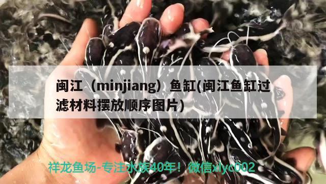 閩江（minjiang）魚缸(閩江魚缸過濾材料擺放順序圖片) 其他品牌魚缸