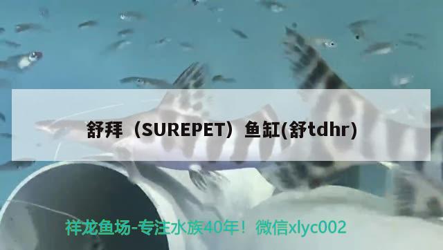 舒拜（SUREPET）魚缸(舒tdhr) 垂釣樂園