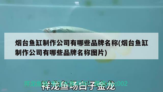 煙臺(tái)魚缸制作公司有哪些品牌名稱(煙臺(tái)魚缸制作公司有哪些品牌名稱圖片) 銀龍魚苗