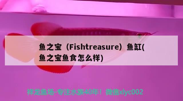 魚之寶（Fishtreasure）魚缸(魚之寶魚食怎么樣)