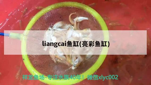 liangcai魚缸(亮彩魚缸) 其他品牌魚缸