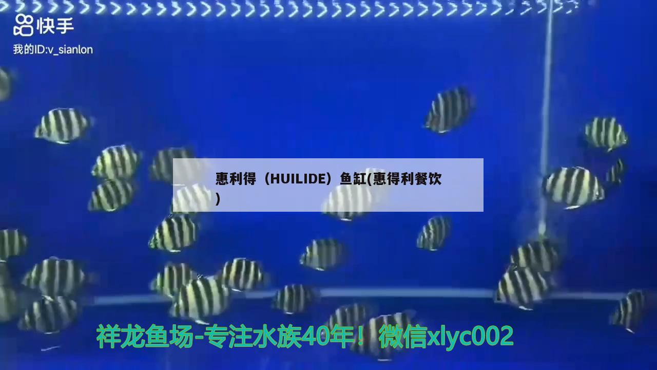 惠利得（HUILIDE）魚(yú)缸(惠得利餐飲) 其他品牌魚(yú)缸