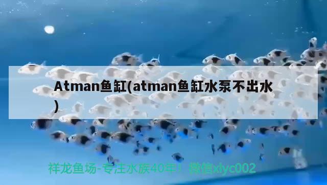 Atman魚缸(atman魚缸水泵不出水)