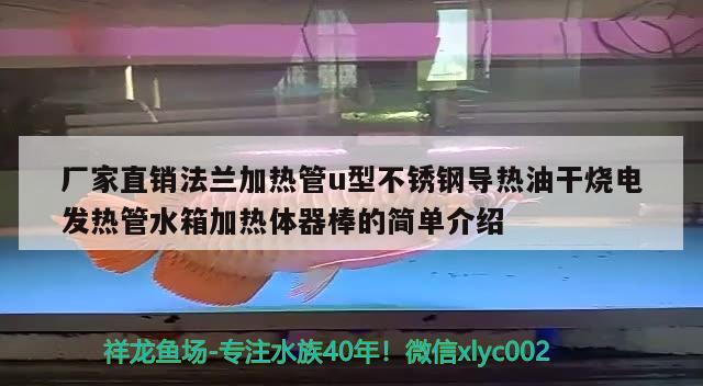 廠家直銷法蘭加熱管u型不銹鋼導(dǎo)熱油干燒電發(fā)熱管水箱加熱體器棒的簡單介紹 水草