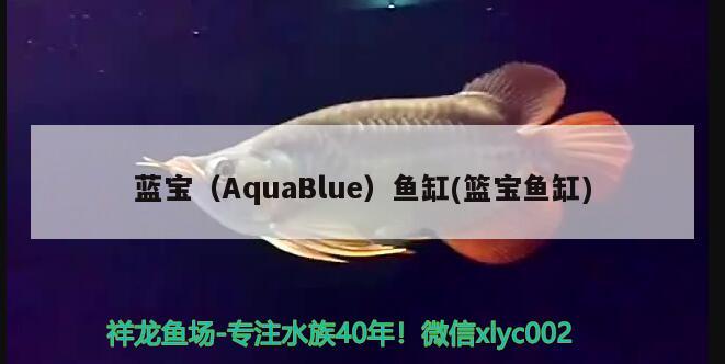 藍(lán)寶（AquaBlue）魚缸(籃寶魚缸)