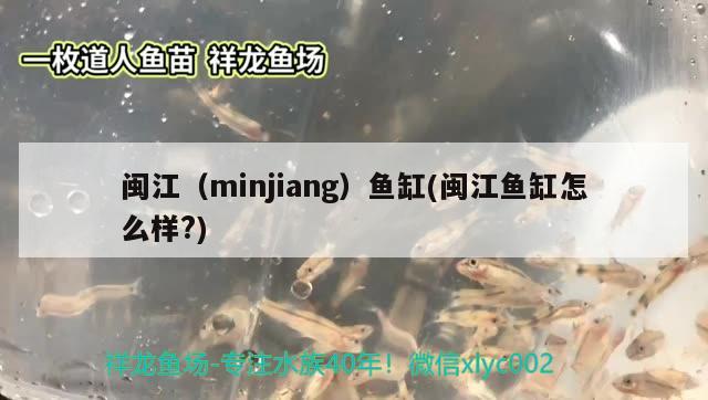 閩江（minjiang）魚缸(閩江魚缸怎么樣?) 其他品牌魚缸 第2張