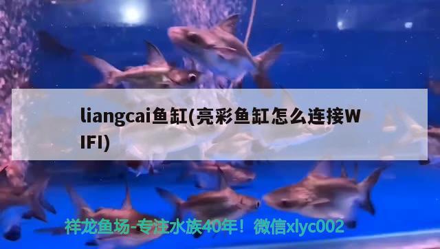 liangcai魚缸(亮彩魚缸怎么連接WIFI)