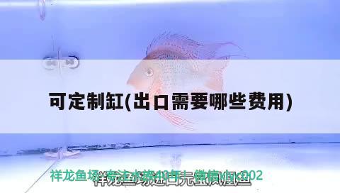 可定制缸(出口需要哪些費(fèi)用) 其他品牌魚缸