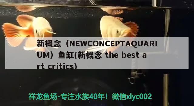 新概念（NEWCONCEPTAQUARIUM）魚缸(新概念thebestartcritics)