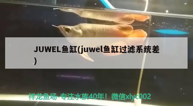 JUWEL魚缸(juwel魚缸過濾系統(tǒng)差) 其他品牌魚缸