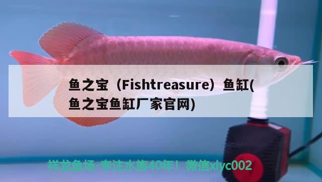 魚之寶（Fishtreasure）魚缸(魚之寶魚缸廠家官網(wǎng)) 其他品牌魚缸