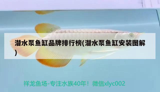 潛水泵魚缸品牌排行榜(潛水泵魚缸安裝圖解)