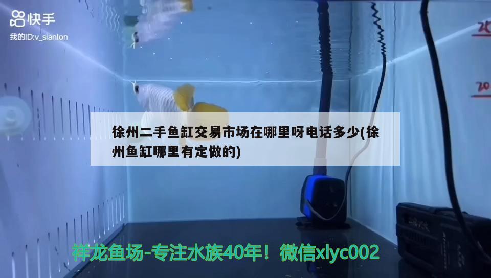 徐州二手魚缸交易市場在哪里呀電話多少(徐州魚缸哪里有定做的) 斑馬鴨嘴魚苗