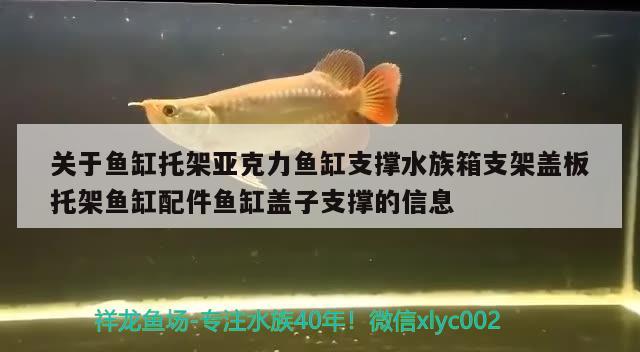 關(guān)于魚缸托架亞克力魚缸支撐水族箱支架蓋板托架魚缸配件魚缸蓋子支撐的信息 魚缸/水族箱