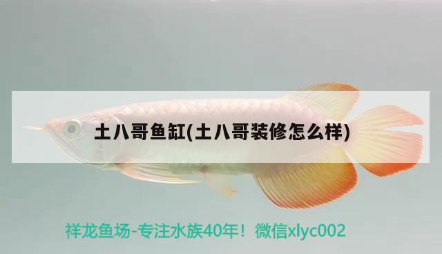 土八哥魚缸(土八哥裝修怎么樣) 其他品牌魚缸