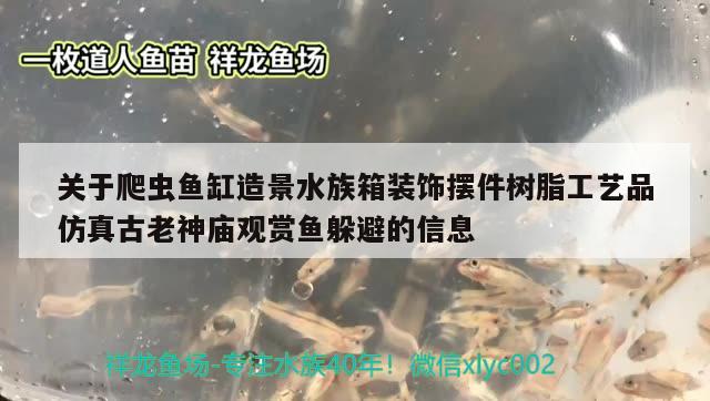 關(guān)于爬蟲魚缸造景水族箱裝飾擺件樹脂工藝品仿真古老神廟觀賞魚躲避的信息