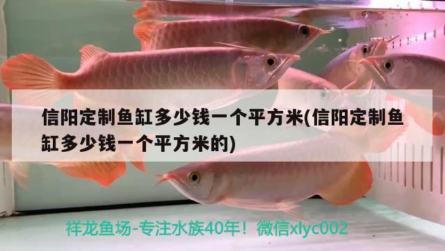 信陽(yáng)定制魚(yú)缸多少錢(qián)一個(gè)平方米(信陽(yáng)定制魚(yú)缸多少錢(qián)一個(gè)平方米的) 鴨嘴鯊魚(yú)