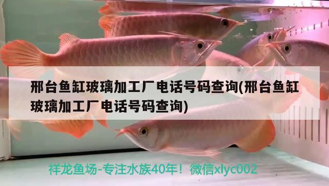 邢臺魚缸玻璃加工廠電話號碼查詢(邢臺魚缸玻璃加工廠電話號碼查詢)