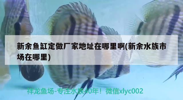 新余魚缸定做廠家地址在哪里啊(新余水族市場在哪里) 水族維護(hù)服務(wù)（上門）