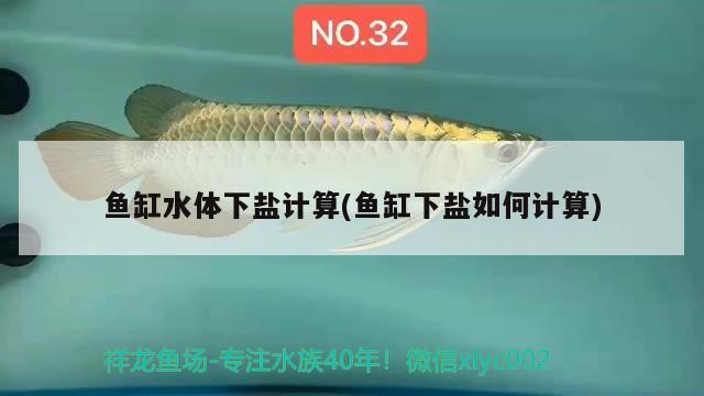 魚缸水體下鹽計算(魚缸下鹽如何計算) 委內(nèi)瑞拉奧里諾三間魚苗