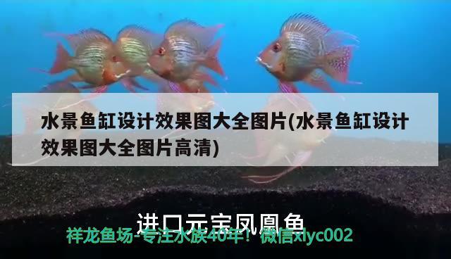 水景魚缸設(shè)計(jì)效果圖大全圖片(水景魚缸設(shè)計(jì)效果圖大全圖片高清)