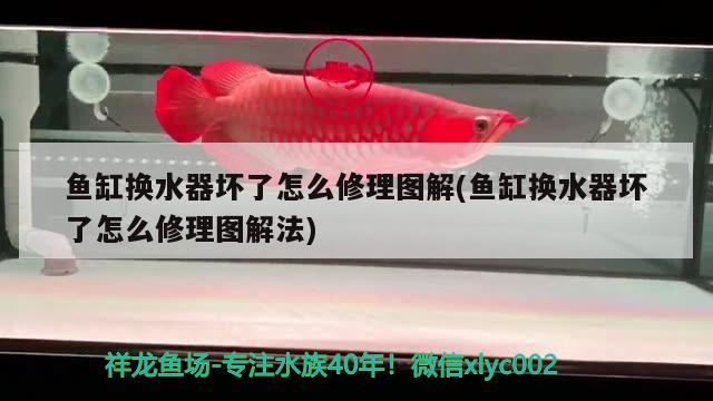 魚缸換水器壞了怎么修理圖解(魚缸換水器壞了怎么修理圖解法)