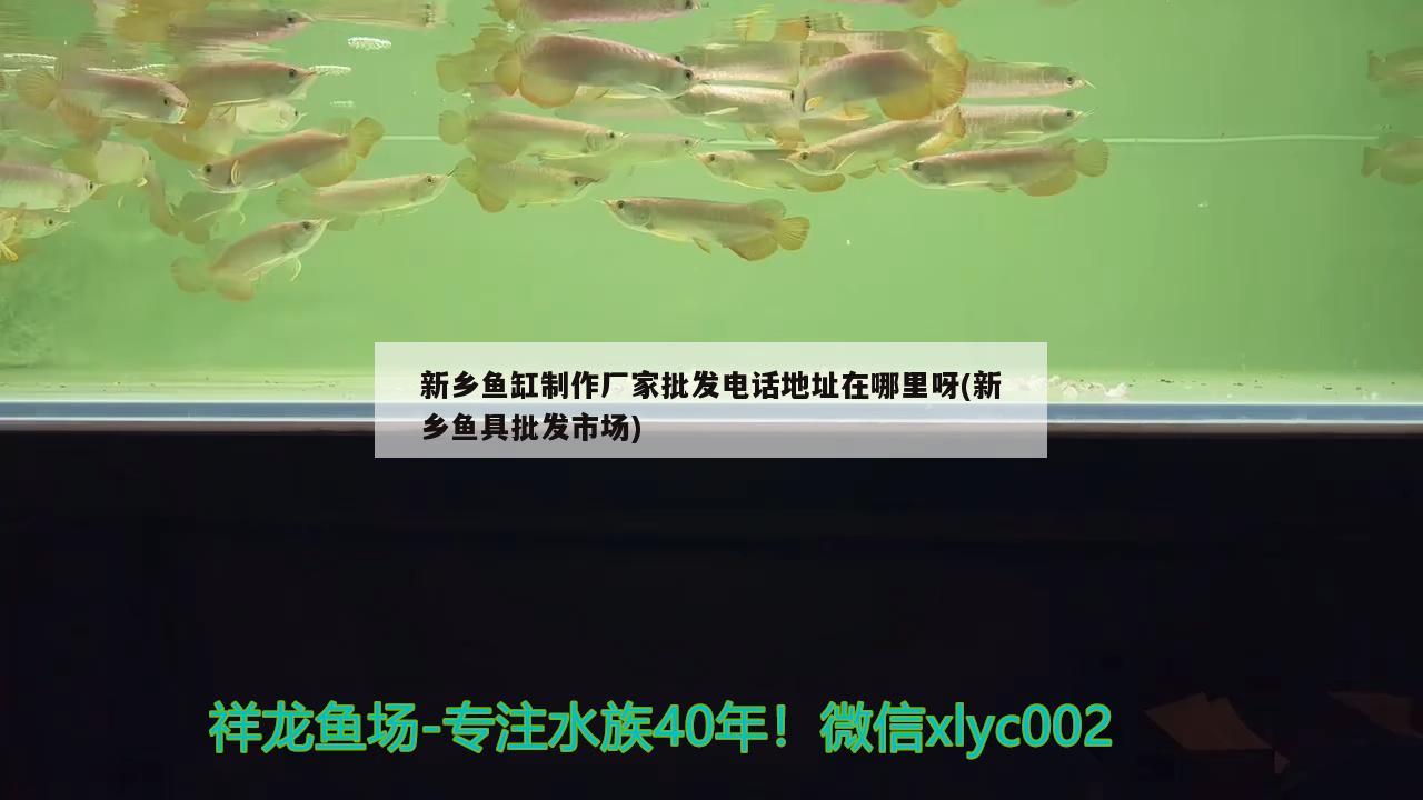 新鄉(xiāng)魚(yú)缸制作廠家批發(fā)電話地址在哪里呀(新鄉(xiāng)魚(yú)具批發(fā)市場(chǎng)) 肺魚(yú)