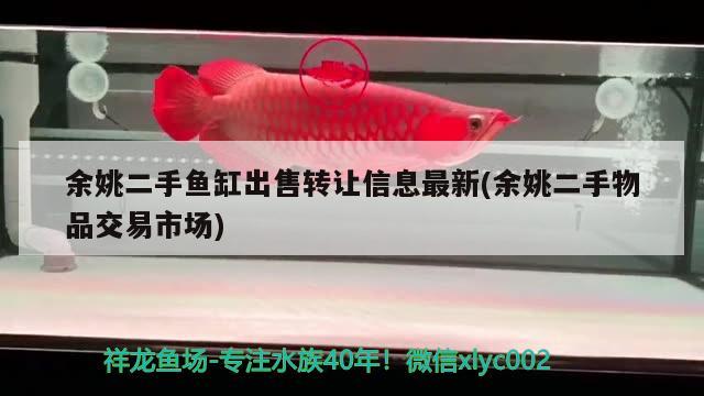 余姚二手魚(yú)缸出售轉(zhuǎn)讓信息最新(余姚二手物品交易市場(chǎng)) 招財(cái)戰(zhàn)船魚(yú)