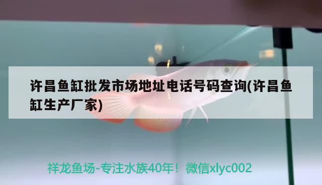 許昌魚缸批發(fā)市場(chǎng)地址電話號(hào)碼查詢(許昌魚缸生產(chǎn)廠家)