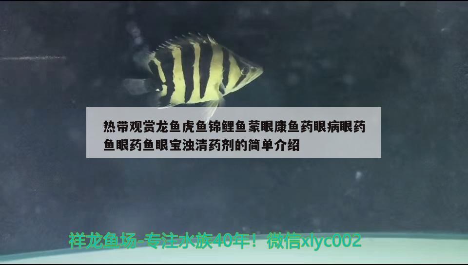 熱帶觀賞龍魚虎魚錦鯉魚蒙眼康魚藥眼病眼藥魚眼藥魚眼寶濁清藥劑的簡單介紹 虎魚百科