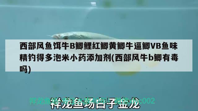 西部風(fēng)魚餌牛B鯽鯉紅鯽黃鯽牛逼鯽VB魚味精釣得多泡米小藥添加劑(西部風(fēng)牛b鯽有毒嗎) 垂釣樂園