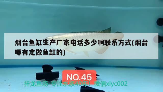 煙臺(tái)魚缸生產(chǎn)廠家電話多少啊聯(lián)系方式(煙臺(tái)哪有定做魚缸的)