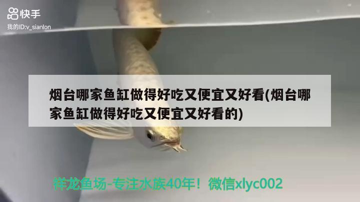 煙臺哪家魚缸做得好吃又便宜又好看(煙臺哪家魚缸做得好吃又便宜又好看的) 魟魚百科 第2張