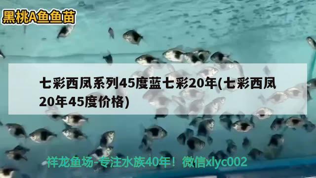 七彩西鳳系列45度藍七彩20年(七彩西鳳20年45度價格) 觀賞魚