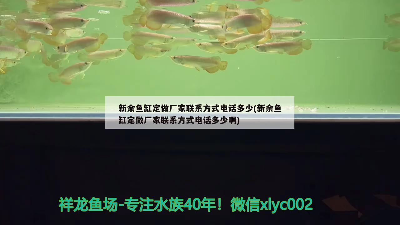 新余魚(yú)缸定做廠家聯(lián)系方式電話多少(新余魚(yú)缸定做廠家聯(lián)系方式電話多少啊) 紅白錦鯉魚(yú)